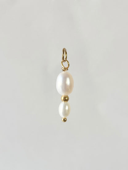 Add-on trailer “Droplet”